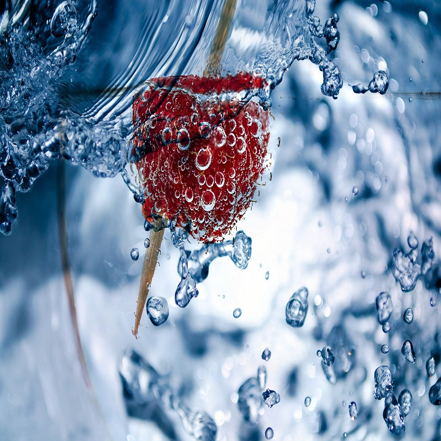 wassertrinken wassertrinken